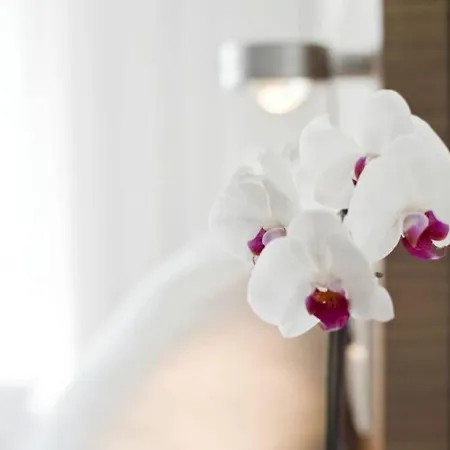Constantia Hotel